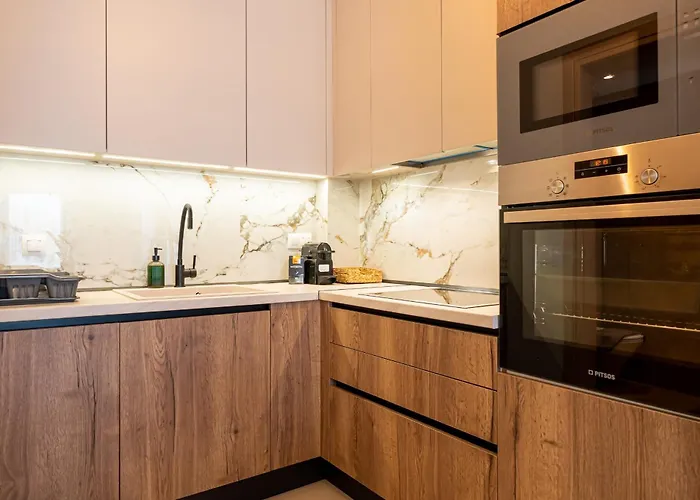 Daire Hasi One Bedroom Nea Moudania